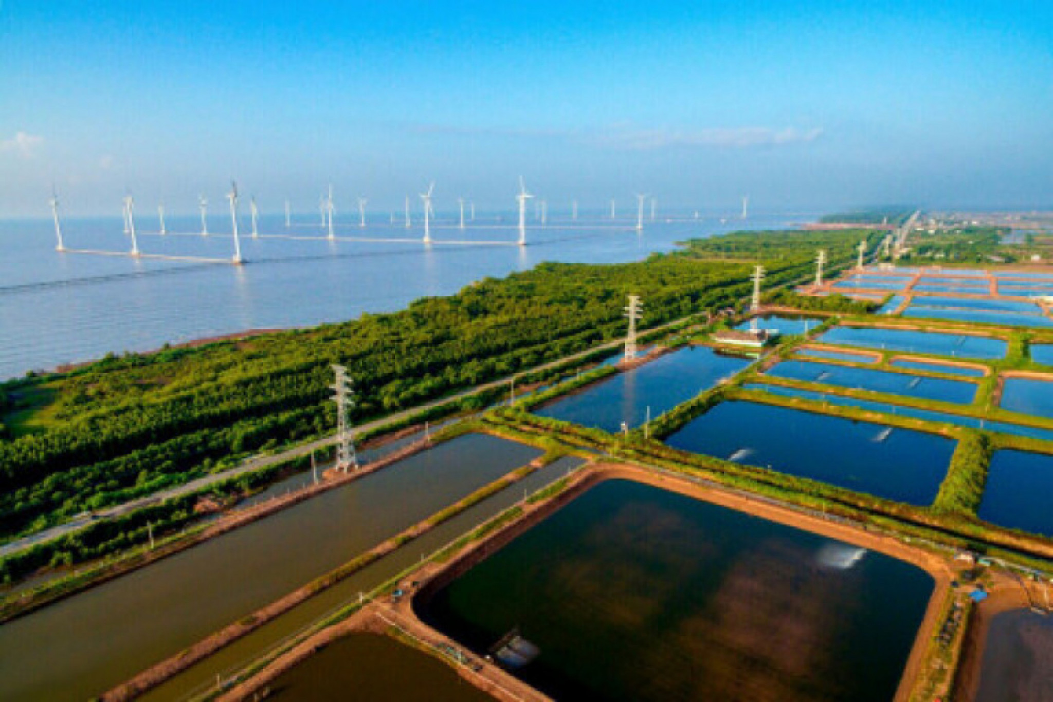 Picture of project Bac Lieu Wind Farm