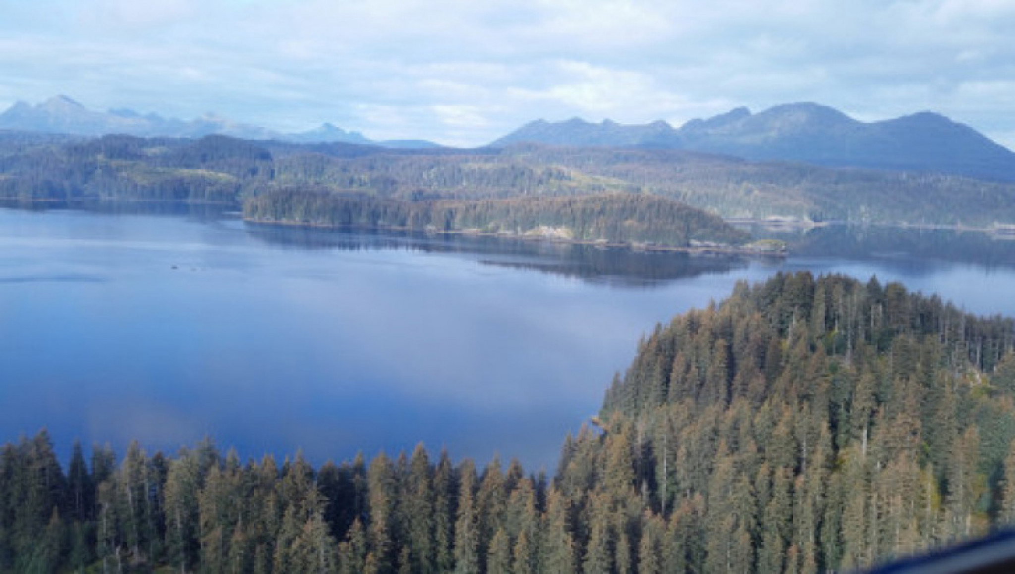 Picture of project Afognak Island Forest Preservation